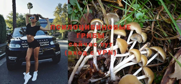дистиллят марихуана Каменногорск
