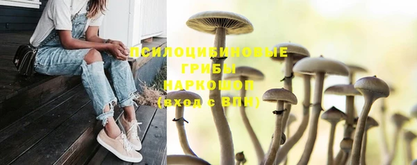 дистиллят марихуана Каменногорск