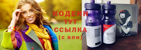 мет Каменка