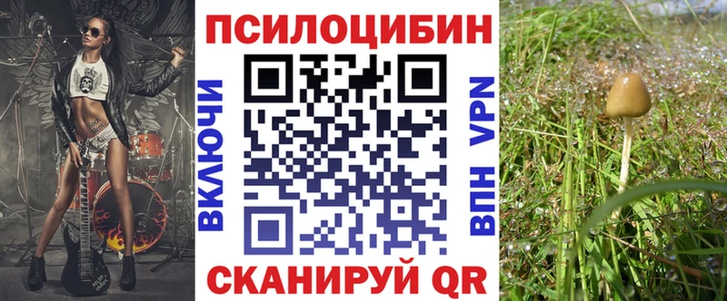 Псилоцибиновые грибы MAGIC MUSHROOMS  Купить  Чёрмоз 